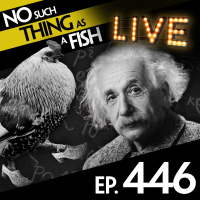 446: No Such Thing As A Ninja Wearing Clogs