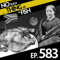 583: No Such Thing As A Tuna Macchiato