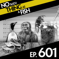 601: No Such Thing As Sausage By Chanel