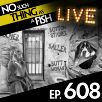 608: No Such Thing As A Chocolate Sausage