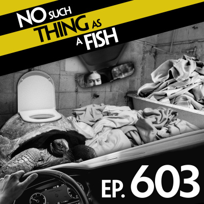 No Such Thing As A Fish