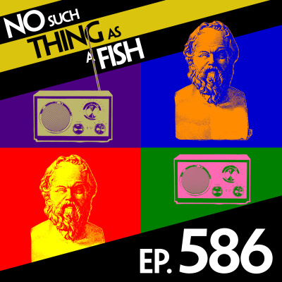 No Such Thing As A Fish