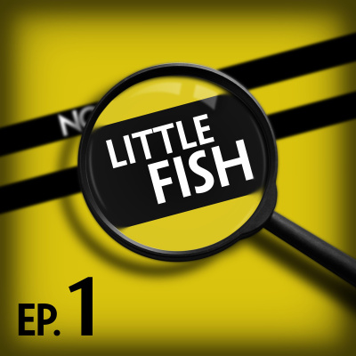 No Such Thing As A Fish