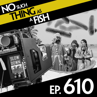 No Such Thing As A Fish