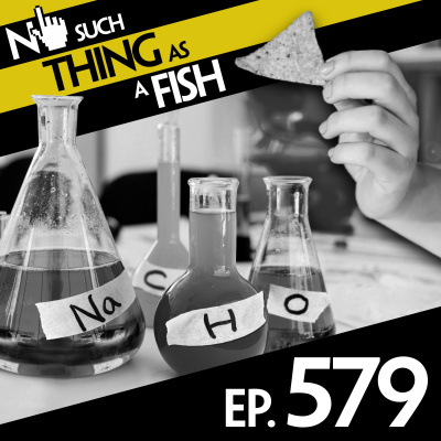 No Such Thing As A Fish