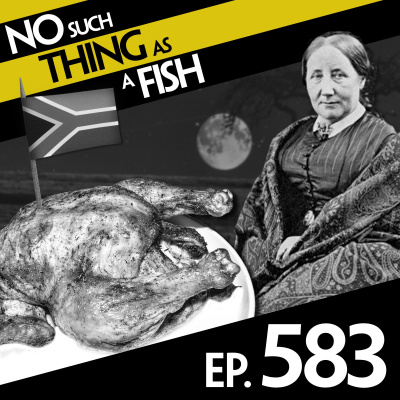 No Such Thing As A Fish