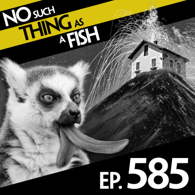 No Such Thing As A Fish