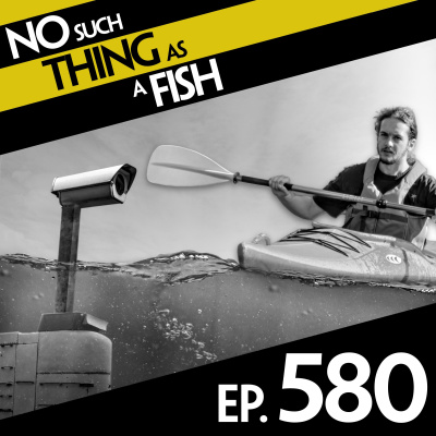 No Such Thing As A Fish