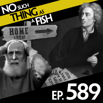 No Such Thing As A Fish