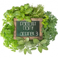 O najstarszych owocach świata, królowej nalewek i słodkich korzeniach