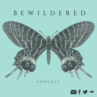 Bonus Episode: Tashs Donkey Poo Story