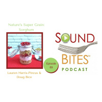 069: Nature’s Super Grain: Sorghum – Lauren Harris-Pincus  Doug Bice