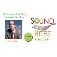 043: The Surprising Truth About Sustainable Agriculture – Jack A. Bobo