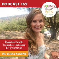 162: Digestive Health: Probiotics, Prebiotics  Fermentation – Dr. Elieke Kearns