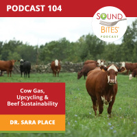 104: Cow Gas, Upcycling  Beef Sustainability - Dr. Sara Place