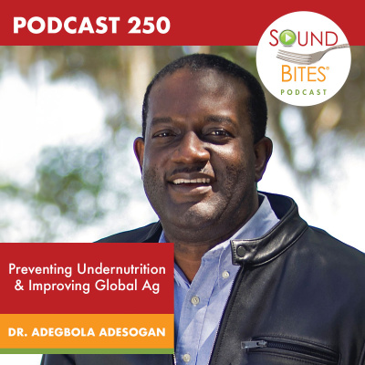 Sound Bites With Melissa Joy Dobbins