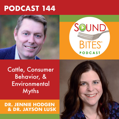 Sound Bites With Melissa Joy Dobbins