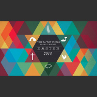 The Puzzle Has Been Solved - Audio