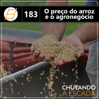 O preço do arroz e o agronegócio