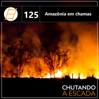 Amazônia em chamas