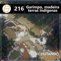 Garimpo e madeira em terras indígenas