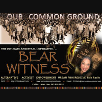 “White Collar Crime: How Whiteness Presides ::: Jennifer Taub