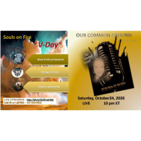 V-DAY : Challenge and Chaos ::: Days to Election 2020