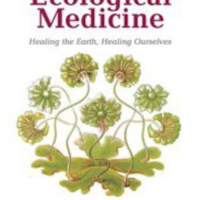 Terrence Mcnally Podcast