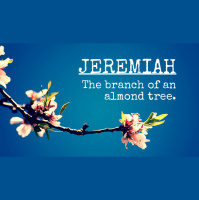 Jeremiah 2:20 - 3:5
