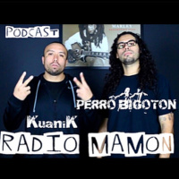 #213 QAnon, pipián, Enchiladas, Covid-19, madures, TiKToK, muchos podcast, buen plan,conexiones