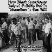 Patreon Sample: How Black Americans helped solidify access to public education