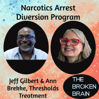 Narcotics Arrest Diversion Program