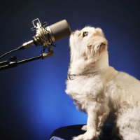 Find out what it takes to live life like a genius. How do you fix your hair? Do you sleep or not? Those are all genius questions Only Rich can answer Episode #394 – July. 22nd. 2023