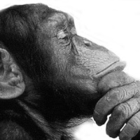 Ideologies 2 - The Development of Ideologies