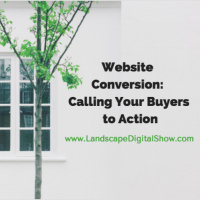 Website Conversion: Calling Your Buyers to Action