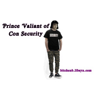 Prince Valiant of Con Security