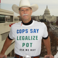 Marijuana Update, 2019