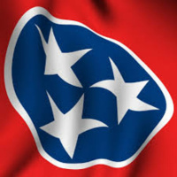 Yes or No on Amendment 2?