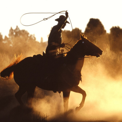 Your Weekly Constitutional