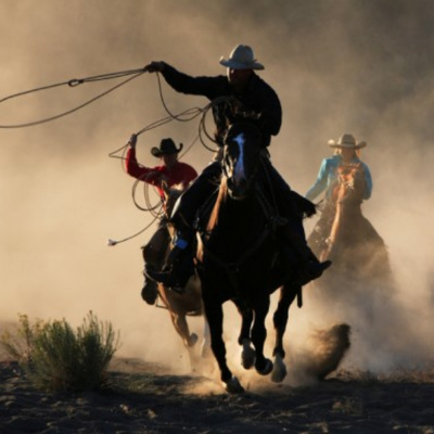 Your Weekly Constitutional