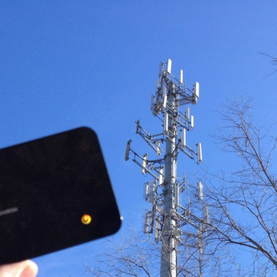 Your Weekly Constitutional