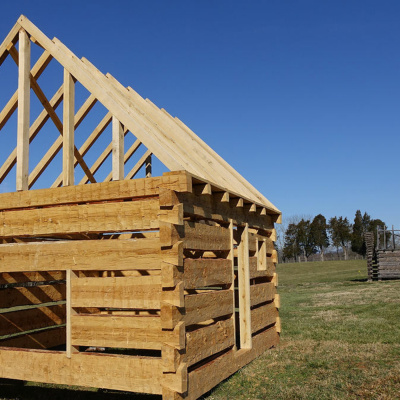 Your Weekly Constitutional