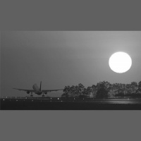 Travel Ban Taekwondo