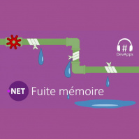 #58 Fuite mémoire dans .NET