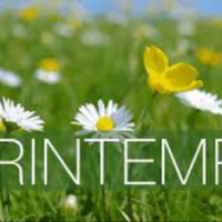 Challenge du Printemps