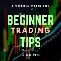 Some More Beginner Trading Tips