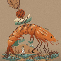 La Cosecha_Del camarón, los manglares y las hipocresías ambientales_Ep.5