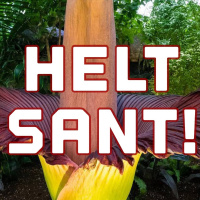 Stinkande blommor och jobbande kråkor!