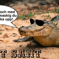 Smart mat och coola krokodilöron!