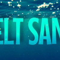 Maxade braxar och blåvalsbesök!